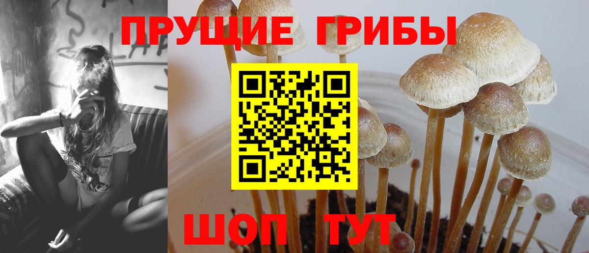 Галлюциногенные грибы Magic Shrooms Дюртюли